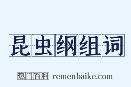 昆虫纲组词是什么意思的图片